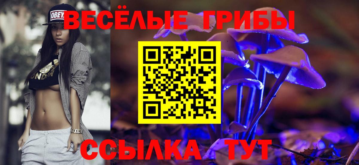 Пятигорск  Галлюциногенные грибы прущие грибы  Галлюциногенные грибы ЛСД  Вход с VPN 