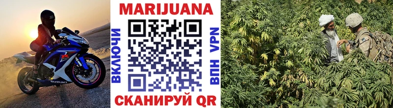 Каннабис OG Kush  Пятигорск 